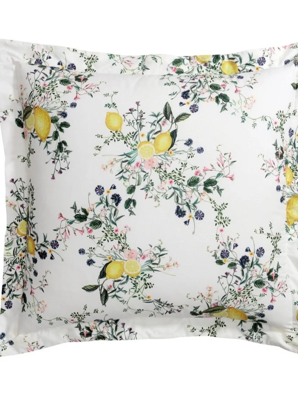 Monique Lhuillier Positano Percale Euro Sham Pottery Barn